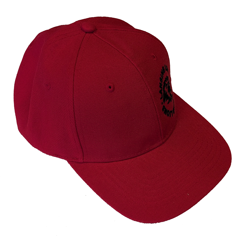 Lansing Lions Circle Logo Hat