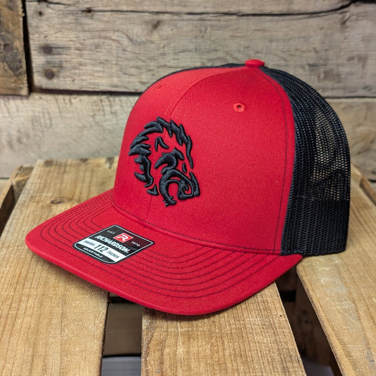 Lansing Lions 3D Logo Hat