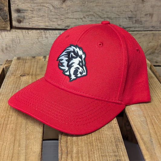 Lansing Lions Logo Hat